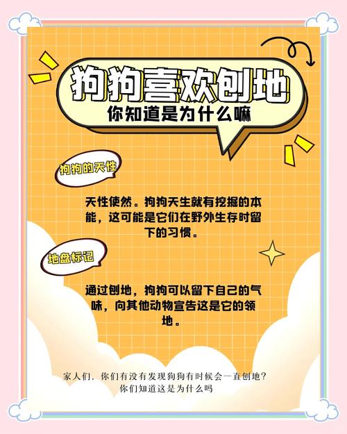 狗狗半夜刨地要警惕什么