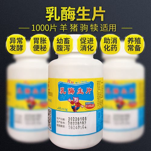 小狗便秘拉不出屎最快解决办法