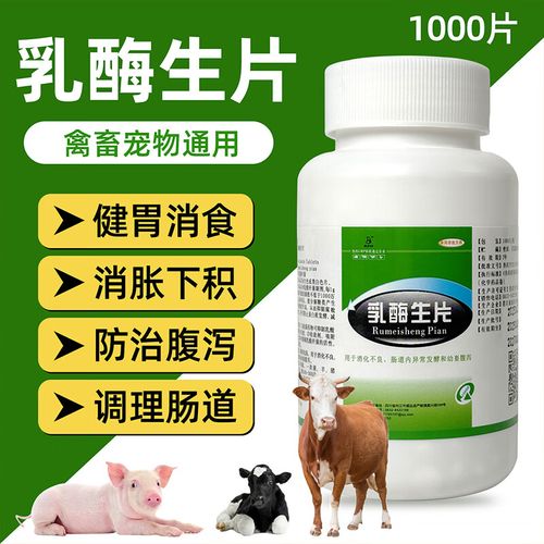 乳酶生片兽用药一岁泰迪十斤用量