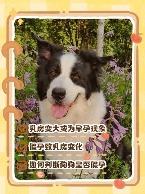 一直很乖的狗狗突然性情大变