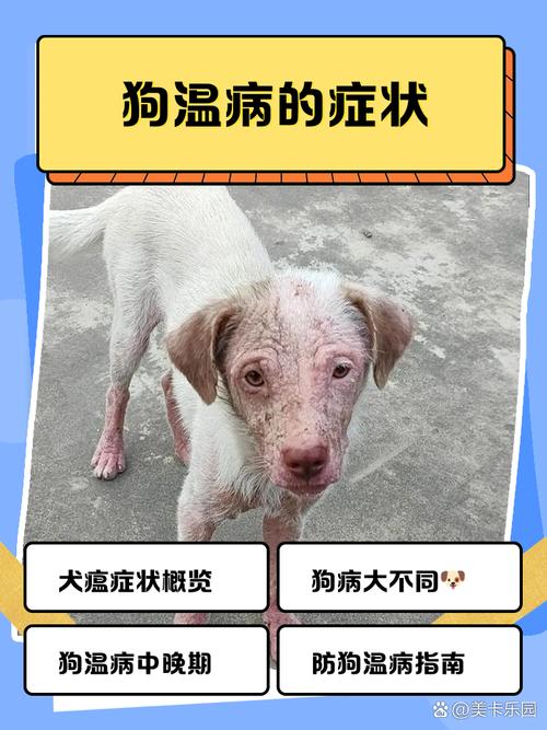 狗狗得了什么病?天气不算热,突然开始猛喝水,尿尿多,胃口很好,但是呼吸...