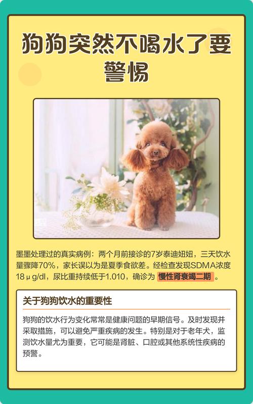 狗狗喘粗气还喝了好多水是怎么回事啊?