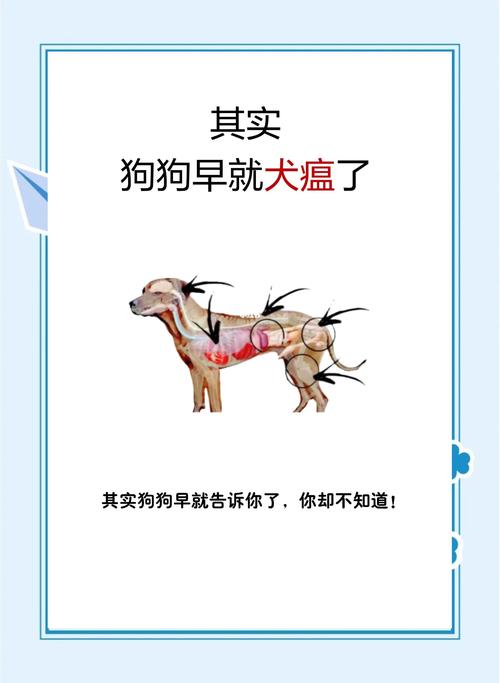 狗狗得犬瘟怎么办啊