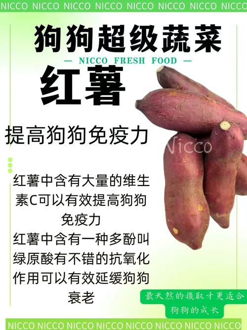 狗狗可以吃红薯吗?