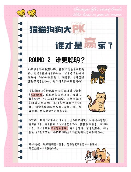 猫咪和狗狗谁更聪明