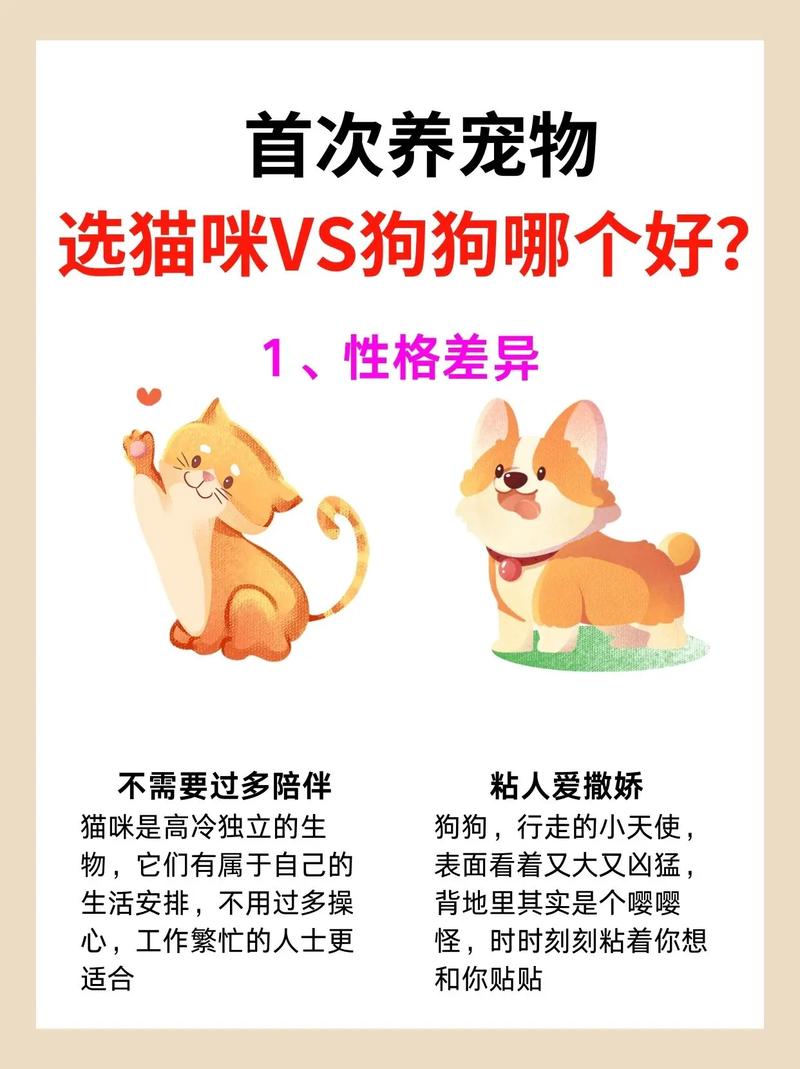 猫咪和狗狗,单从智力上来说,哪个更加聪明?