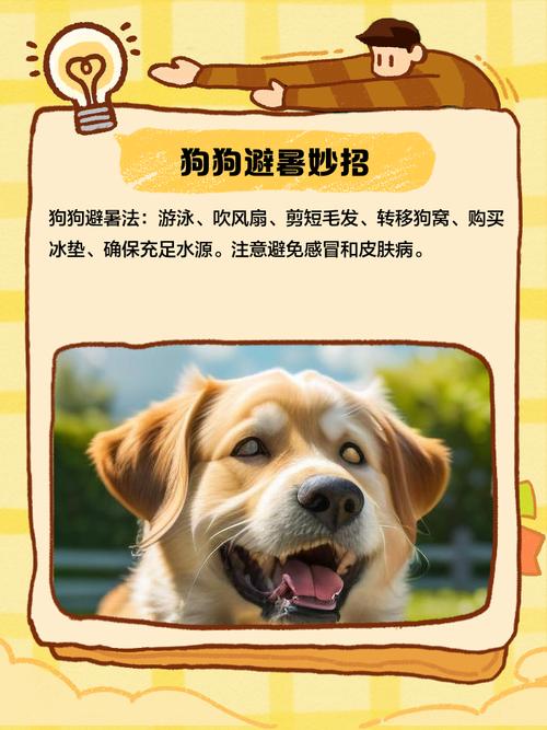 狗狗可以吃晨光凉粉吗