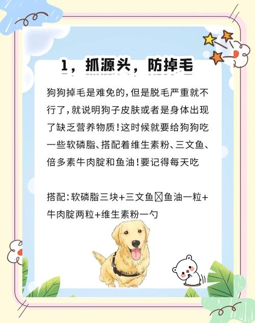 狗狗最近掉毛厉害怎么办