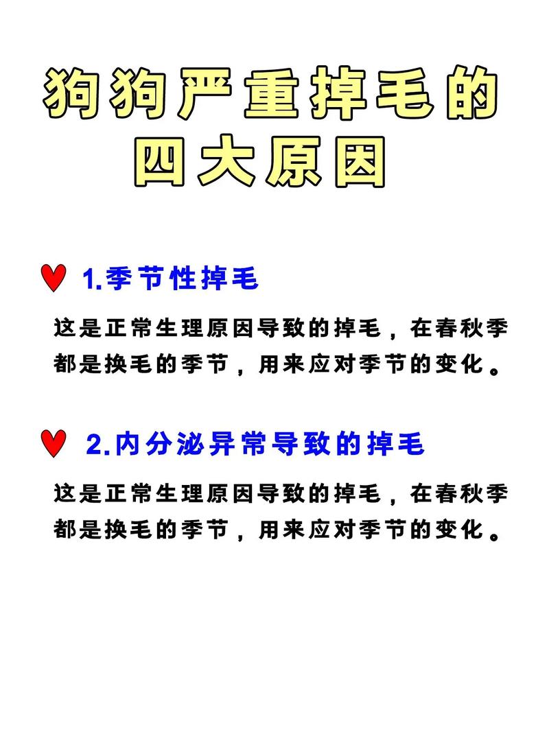 狗狗掉毛掉的特别厉害,是咋回事?