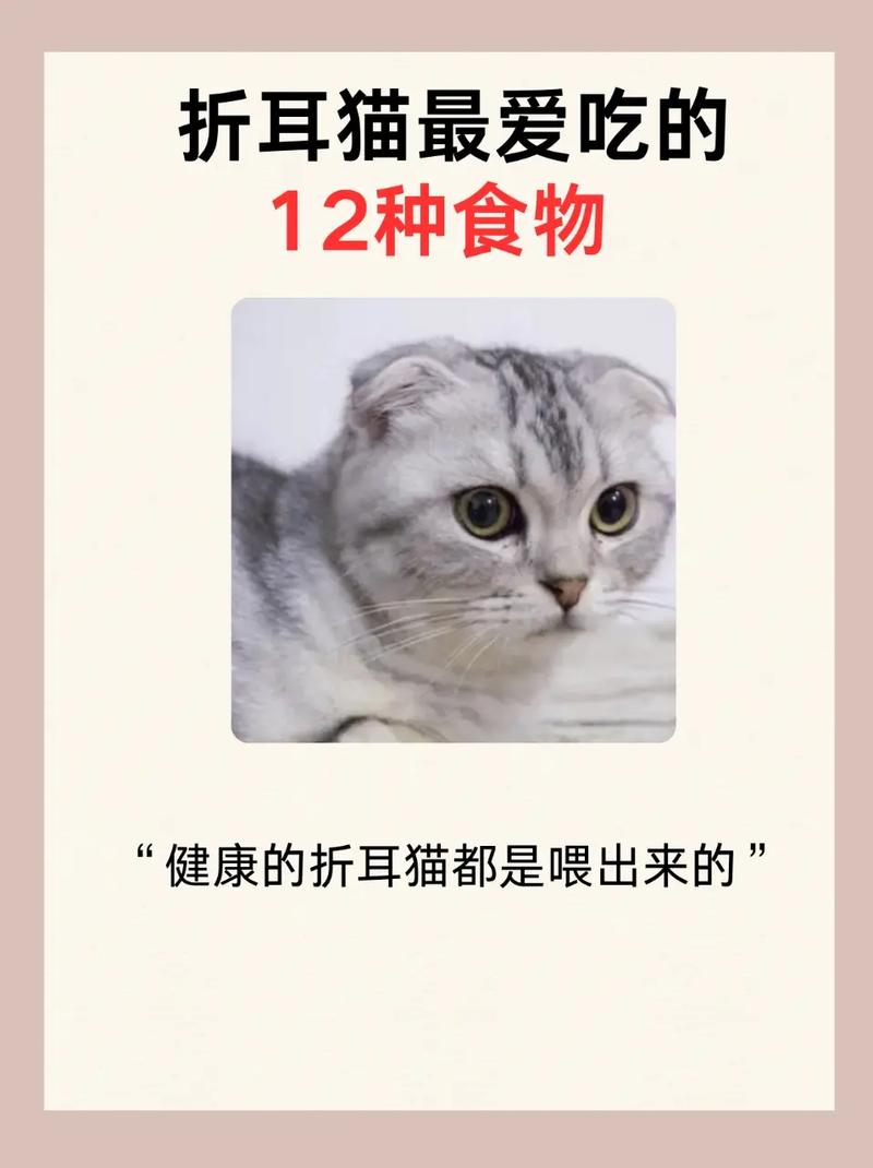 猫能不能吃山药银耳