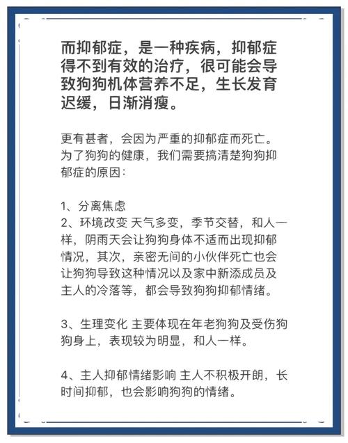 狗狗也会得抑郁症吗?狗狗得了抑郁症应该怎么办?