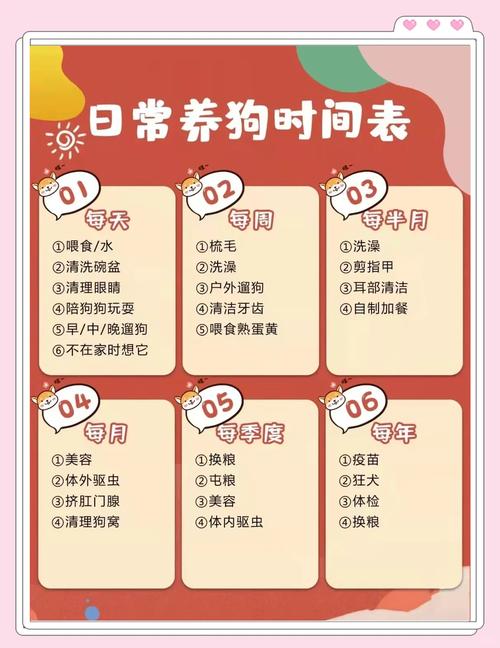 狗狗三针费用(进口狗针多少钱一针)