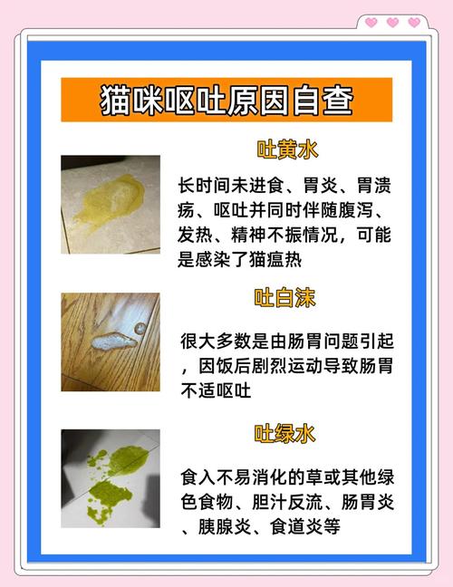 猫肚子一抽一抽的吐黄水