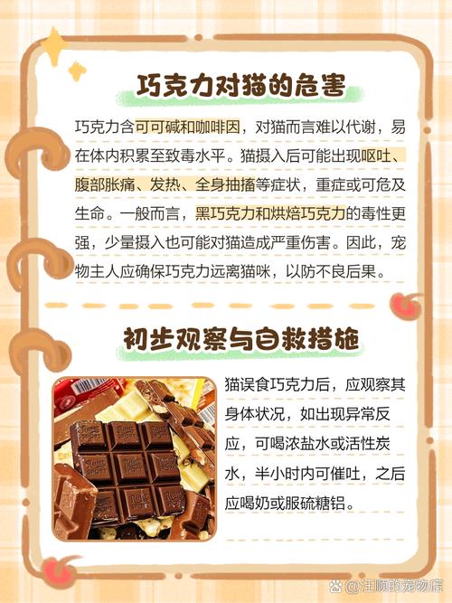 猫吃了巧克力1两小时没有症状