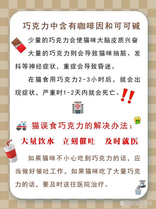 猫吃一点巧克力怎么办?