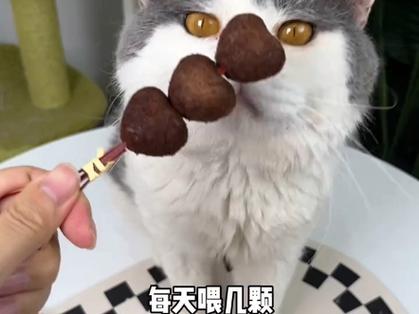 猫吃了巧克力怎样解毒