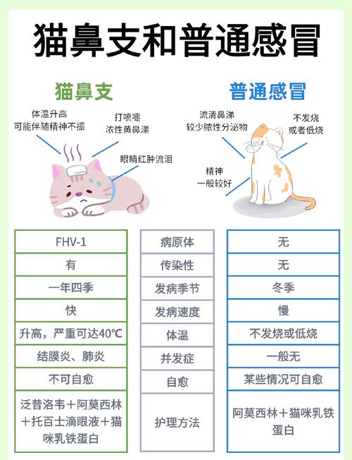 如何区别猫鼻支和猫感冒?