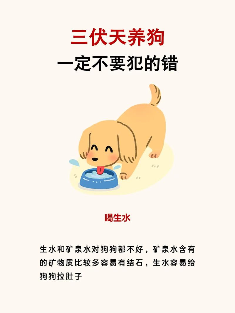 狗狗在空调房睡觉,需要注意些什么?