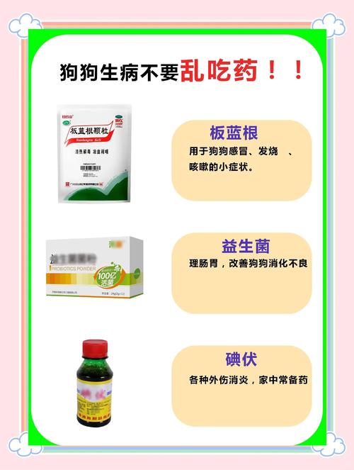 2个月狗狗感冒能自愈吗