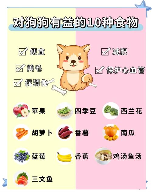 想给狗狗试试冻干零食,有推荐的吗?