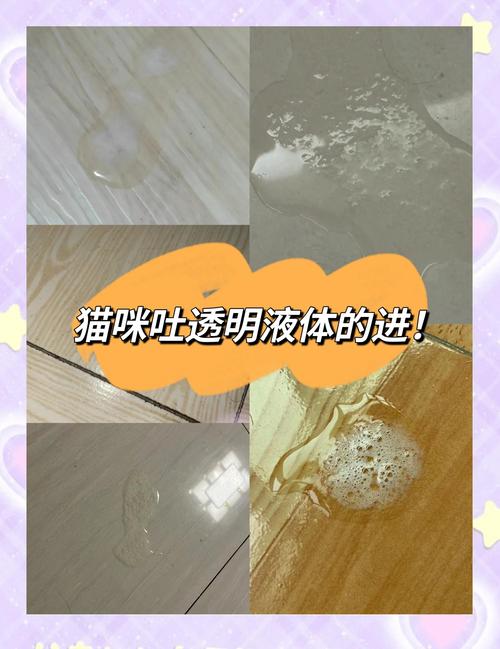 猫咪吐出透明粘稠的水