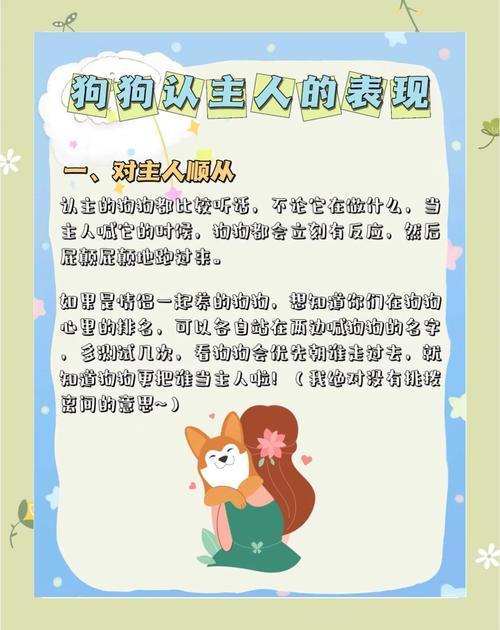 狗狗对主人的记忆有多久?