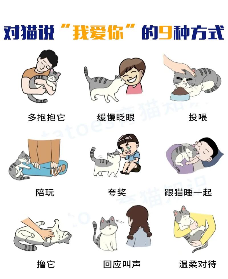 怎么样才能跟猫咪交流?