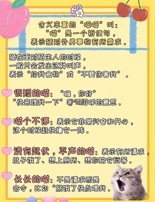 如何和猫咪交流