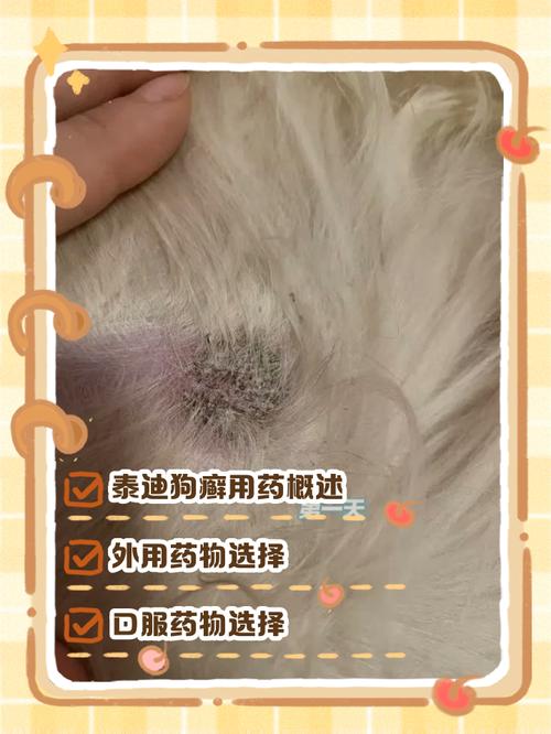 我家狗是泰迪不纯,前得过耳螨好了,最近一直挠耳朵后面,还咬脚,挠身...