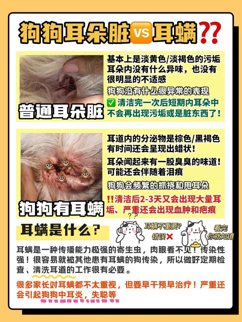 狗狗没得耳螨可是老挠耳朵怎么回事
