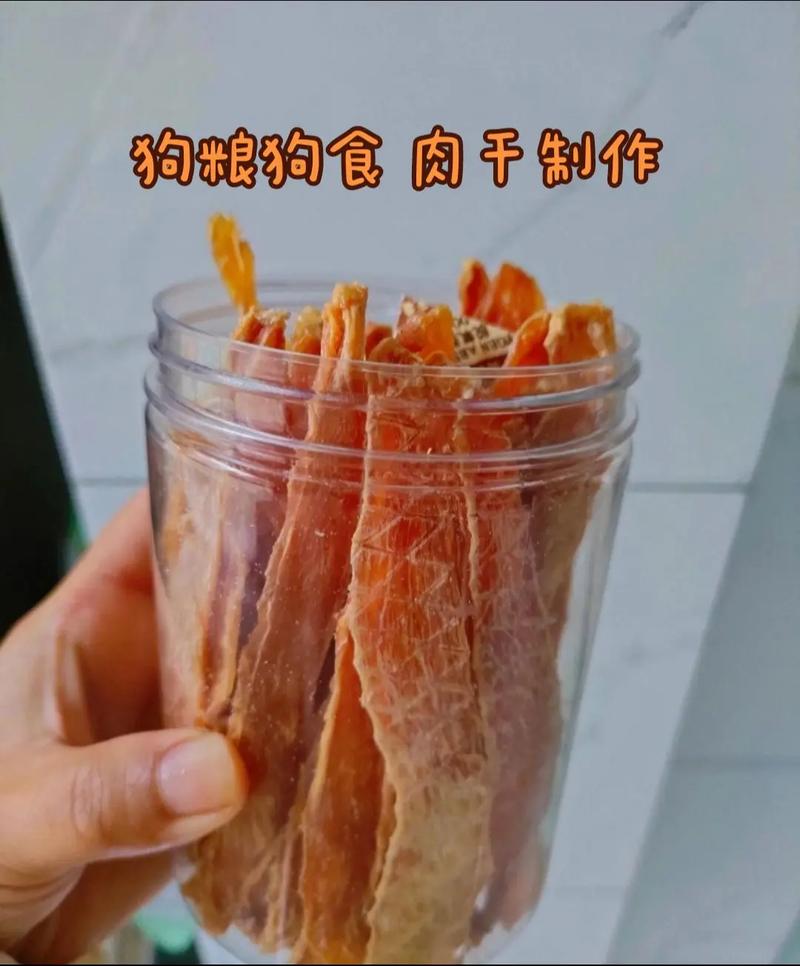 狗如何开始吃干狗粮