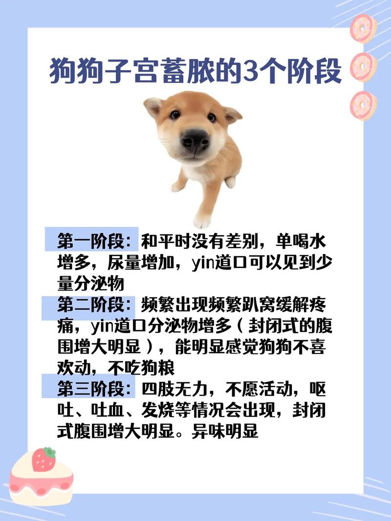 小母狗一直流血量大不止有脓性汾秘扬咋办?