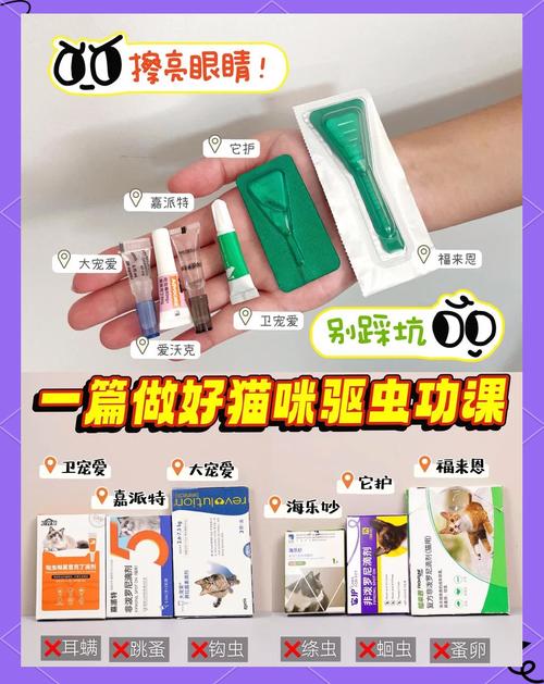 一般猫咪驱虫药多少钱