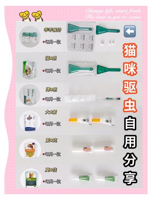 猫驱虫药多少钱两个多月的小猫咪体内体外驱虫去宠物医院做要多少钱