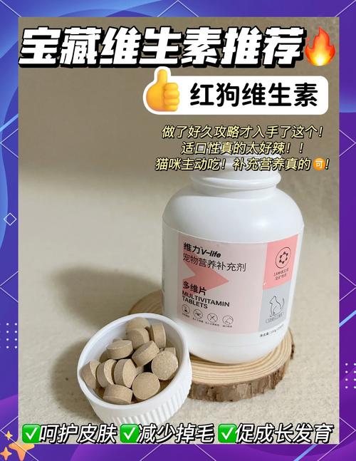 猫咪有黑下巴、猫癣、掉毛症状注意,这是缺乏维生素