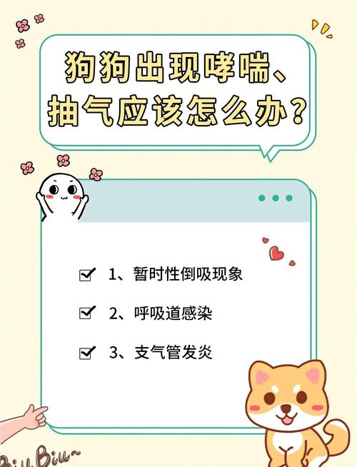 狗像哮喘一样抽气是怎么回事