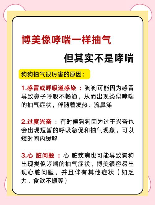 狗狗一激动像呛着一样抽气