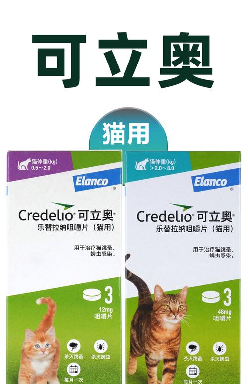 猫咪体外驱虫吃什么药?