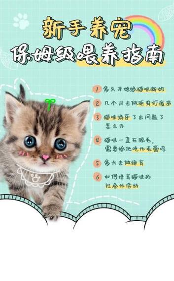 刚出生的小猫咪几天睁眼
