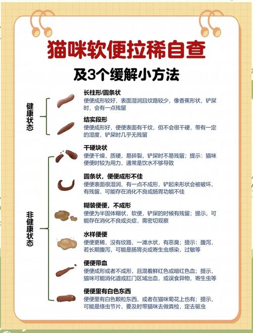 猫咪拉肚子怎么办,猫咪拉肚子的解决办法