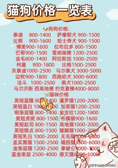 宠物店狗狗剪毛费用表