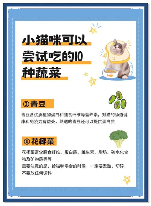 猫可以吃的蔬菜