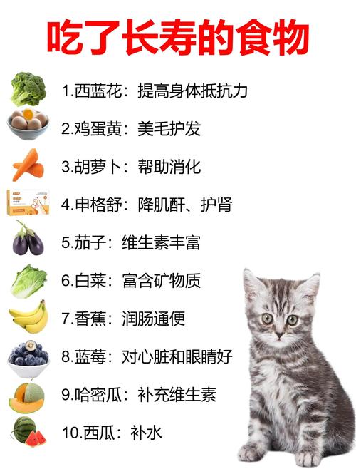 猫咪可以吃蔬菜吗?有什么危害