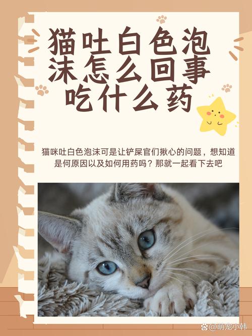 小猫吐白沫是怎么回事啊?