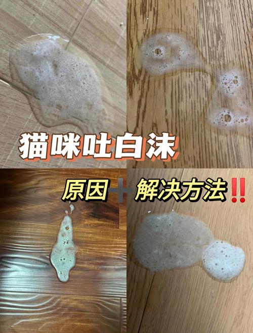 猫咪吐白沫是什么病呢?