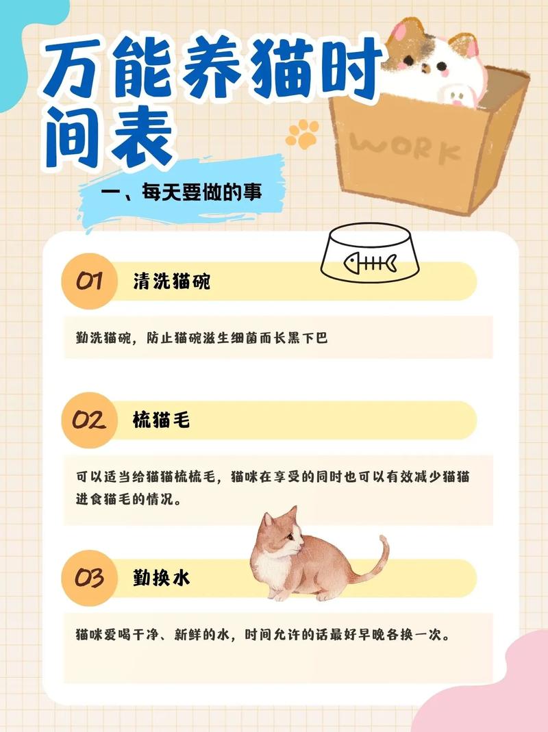 母猫隔多久可以生第二窝