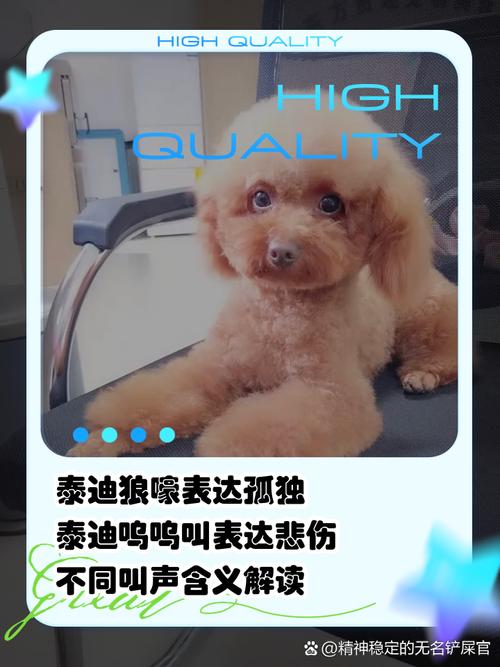 泰迪狗几个月才变声学会旺旺叫啊?