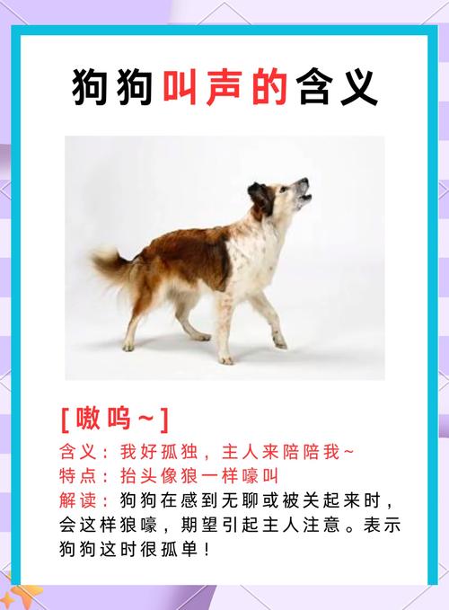 狗几个月会看门吠叫