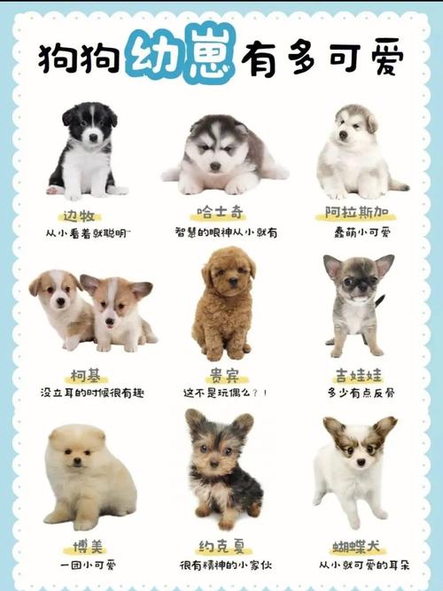 小狗几个月会汪汪叫