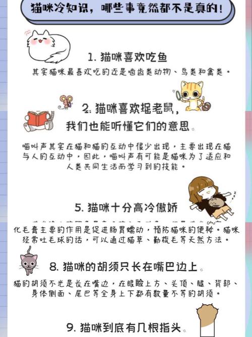 什么温度下猫会觉得冷